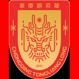 重庆铜梁龙