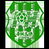 平湖小将
