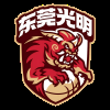 东莞光明