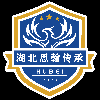 湖北思翰传承足球队