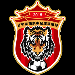 辽宁沈阳城市