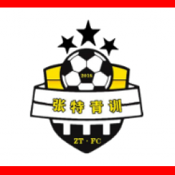 东莞张特青训