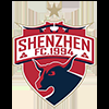 深圳翠园深足U15