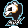 SDX