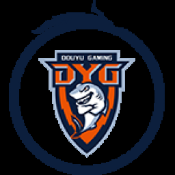 深圳DYG