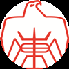 山东队