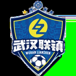 武汉联镇