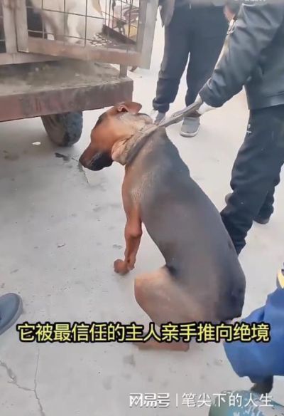 nba官网直播
