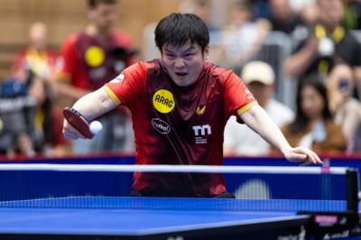 樊振东斩获两分 杜塞尔多夫乒乓球德甲六连胜