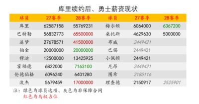 雨燕篮球直播官网