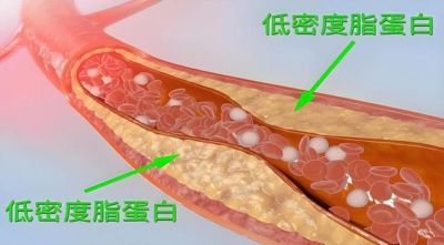 台球8场台球比赛下载