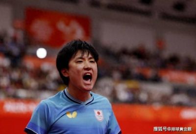 nba各队十佳球下载