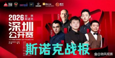 宾汉姆 vs 瓦菲