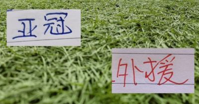wcba官网下载