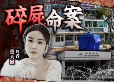 蜘蛛直播体育足球官网入口