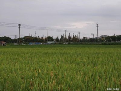 玩球直播官方网站入口下载最新版