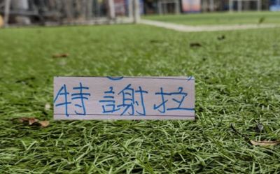 cf官网比赛直播