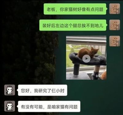 阿尔克马尔 vs 阿斯塔纳