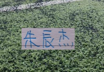 本西奇 vs 高芙