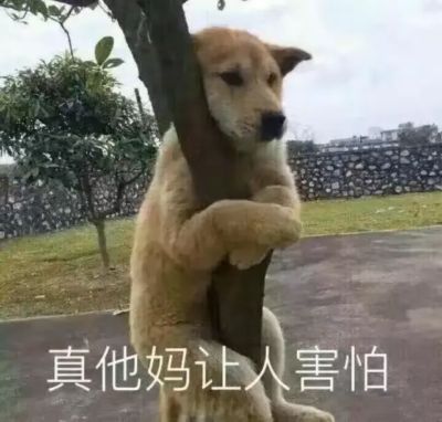 懂球帝直播球队赛程