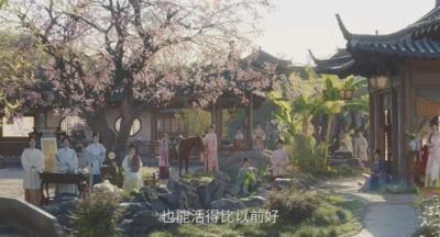 wnba录像下载