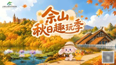 友球直播app
