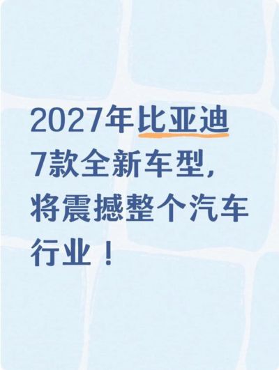 UFC张伟丽格斗