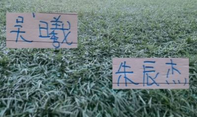 pp视频会员体育