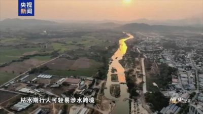 东体：中国女足相比半年前亚洲杯退步明显，米利西奇要担全责