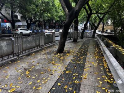 布德拉尔
