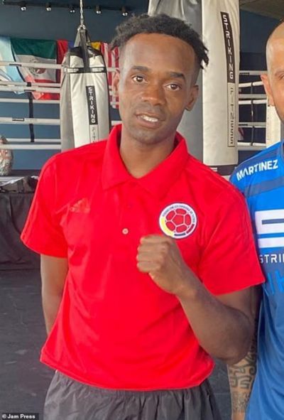 ufc格斗直播免费观看入口高清
