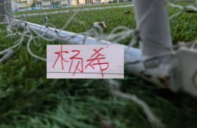 新纽约之王祝尼克斯球星布伦森30岁生日快乐！