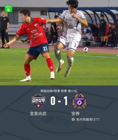 ds足球app下载