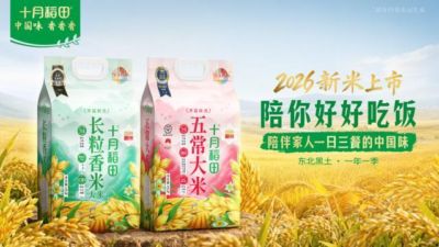 美因茨 vs 萨姆松体育