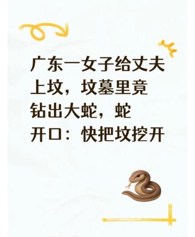 世界杯哪里直播