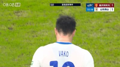 乔丹集锦高清100佳球下载