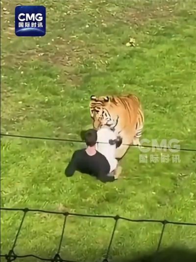 wtt多哈球星挑战赛直播