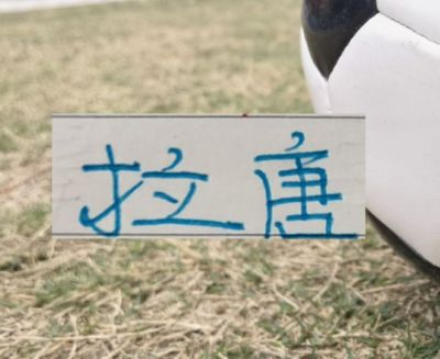 tv体育直播下载