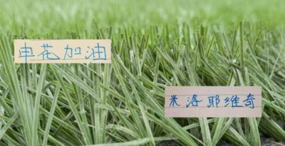2010-11欧冠1/8决赛首回合