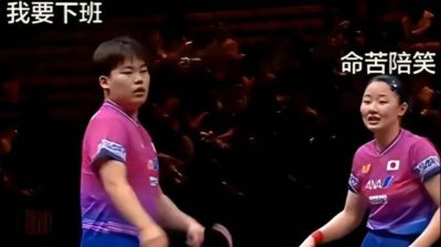马纳里诺 vs 布塞