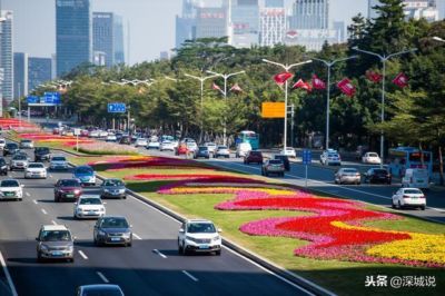 51网站在线观看免费播放直播足球
