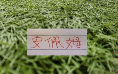 下载体育赛事直播app