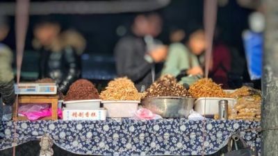 乐球体育频道在线直播