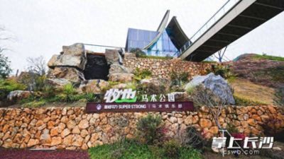 nba高清录像免费下载