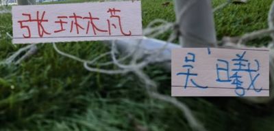 塞尔吉尼奥