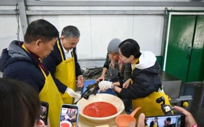 日本羽毛球公开赛女双决赛