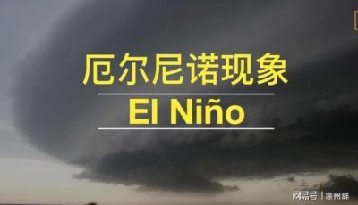 足球赛事直播版权规范