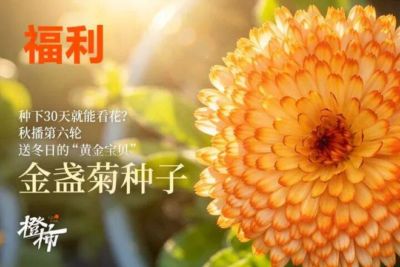 jrs直播 欧冠