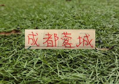 CBA季前赛青海西宁赛区