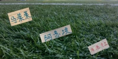 旧版球探比分即时足球比分下载